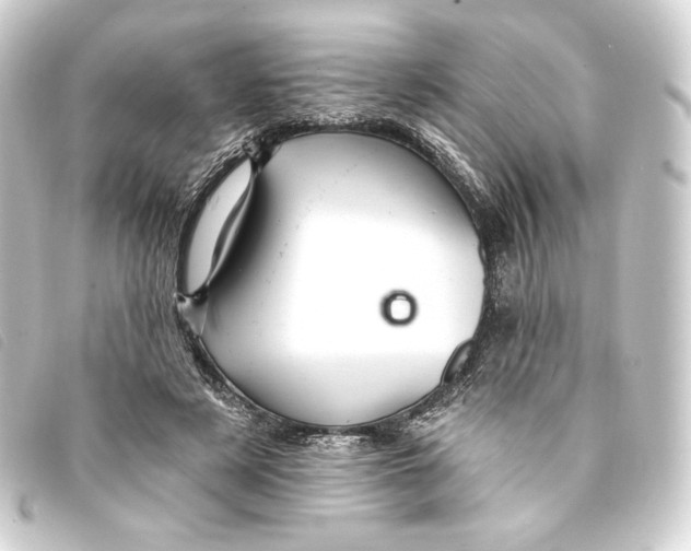 X0000093220497200710241219