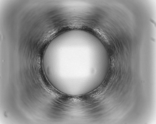 X0000093220498200710241219