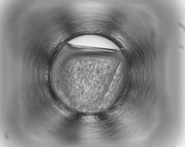 X0000093220499200710241219