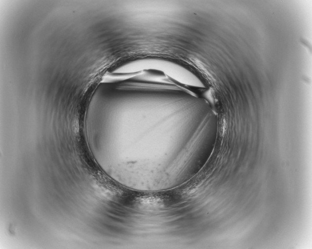 X0000093220500200710241219