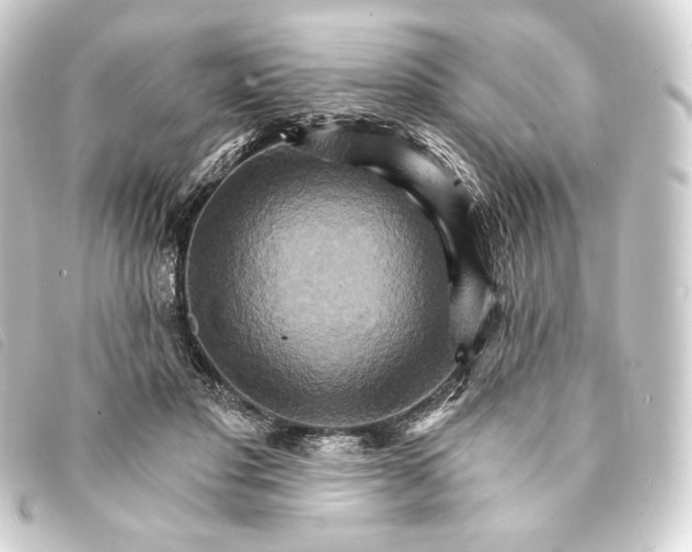 X0000093220501200710241219