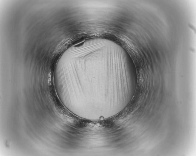 X0000093220502200710241219