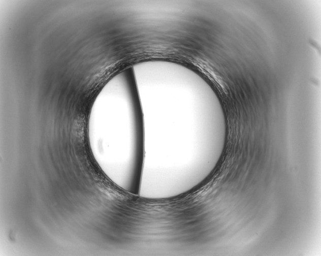 X0000093220505200710241219