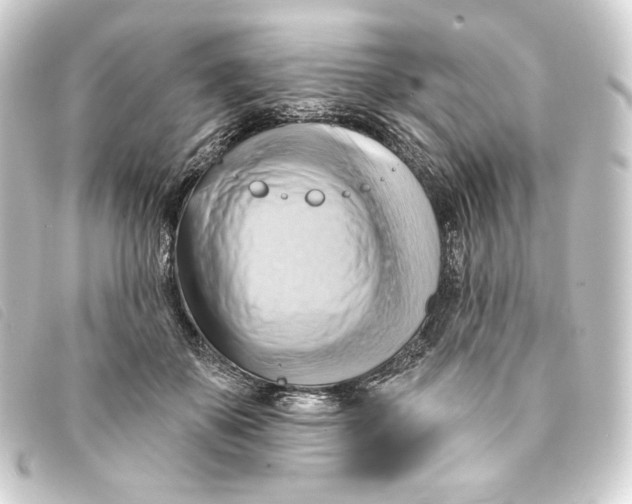 X0000093220507200710241219