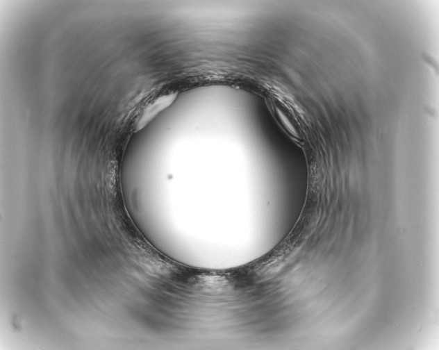 X0000093220509200710241219