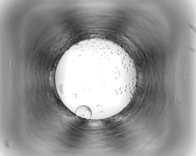 X0000093220510200710241219