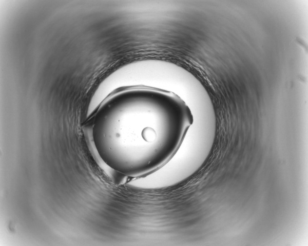 X0000093220512200710241219