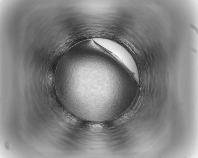 X0000093220513200710241219