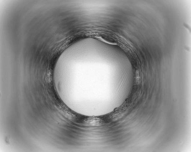 X0000093220514200710241219