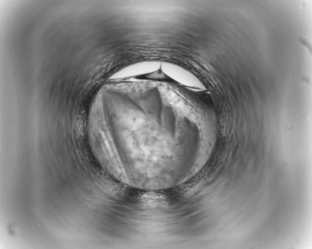 X0000093220515200710241219