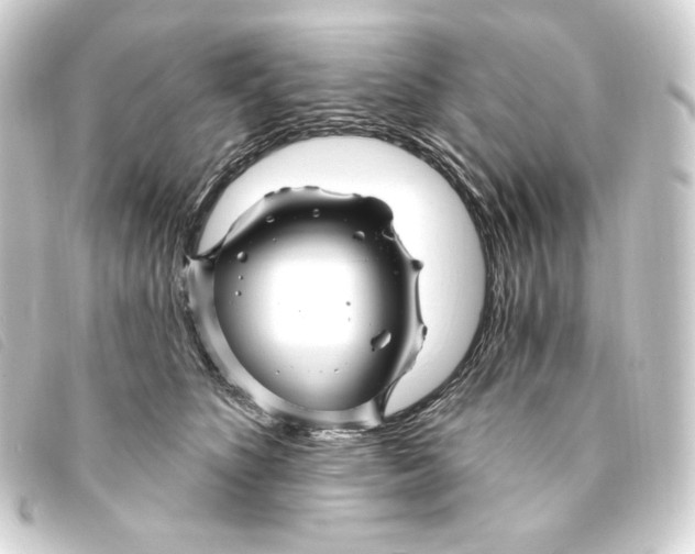 X0000093220516200710241219