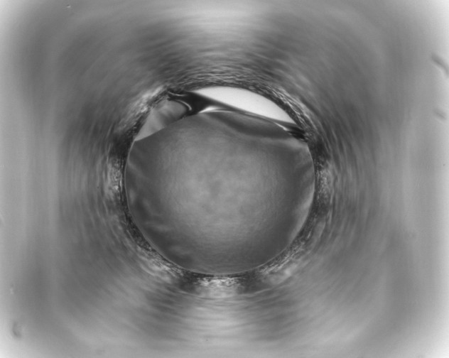 X0000093220517200710241219