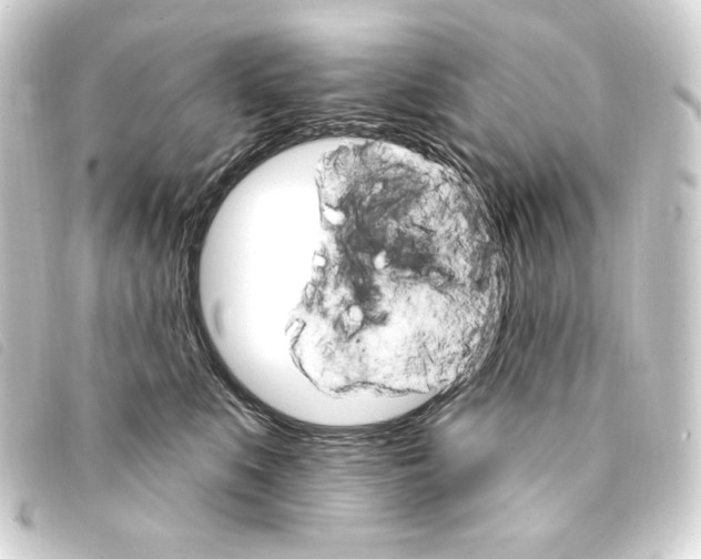 X0000093220519200710241219