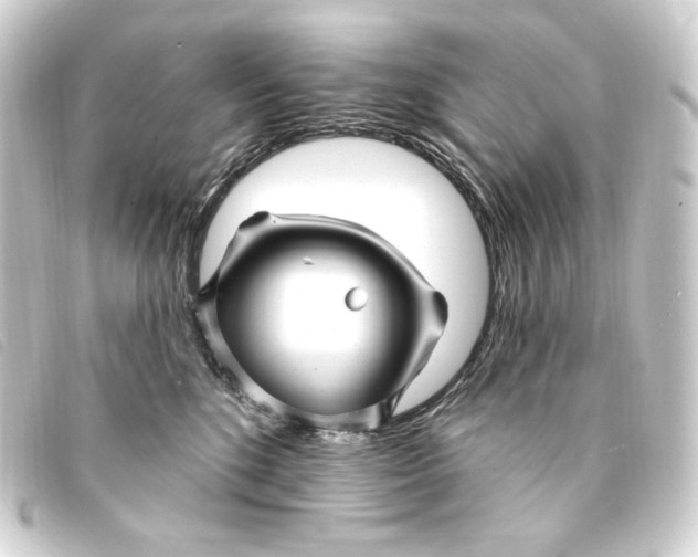 X0000093220520200710241219