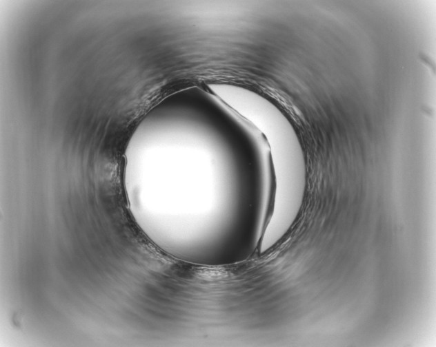 X0000093220521200710241219