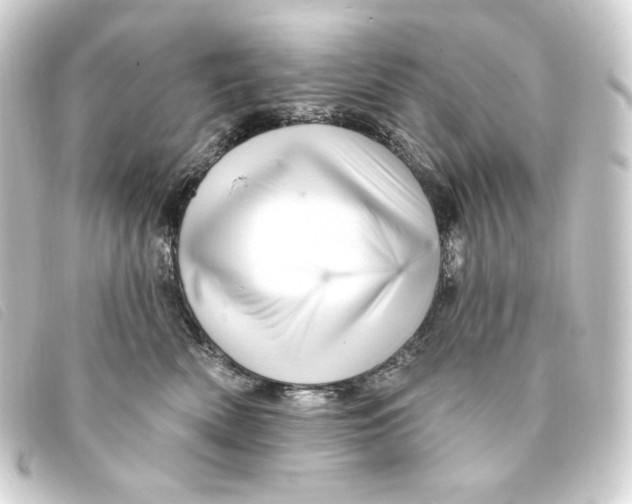 X0000093220522200710241219