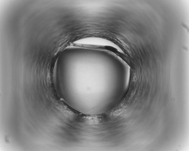 X0000093220524200710241219