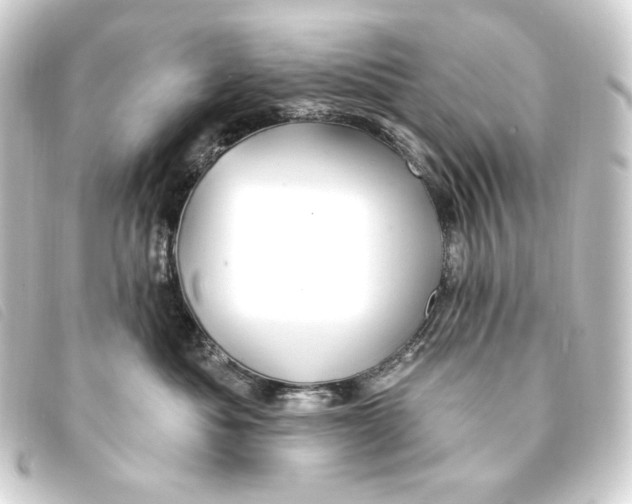 X0000093220525200710241219