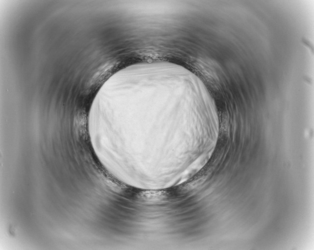 X0000093220526200710241219