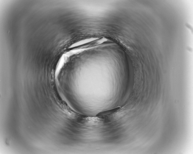 X0000093220528200710241219