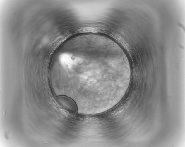 X0000093220529200710241218