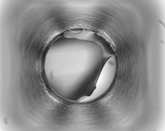 X0000093220530200710241218