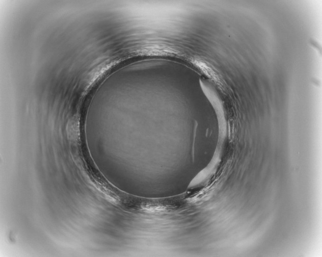 X0000093220531200710241218