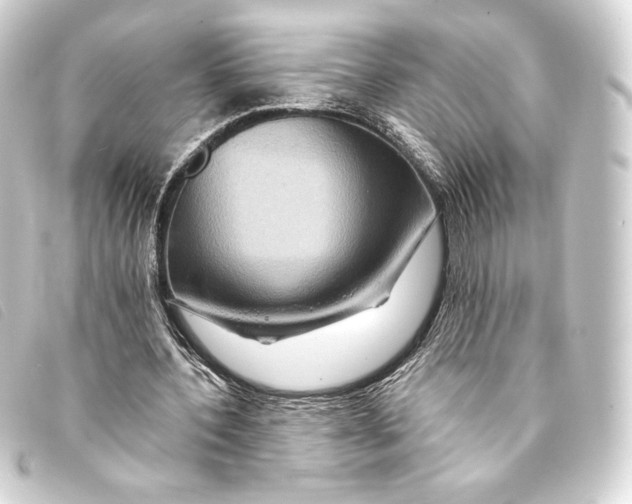 X0000093220532200710241218