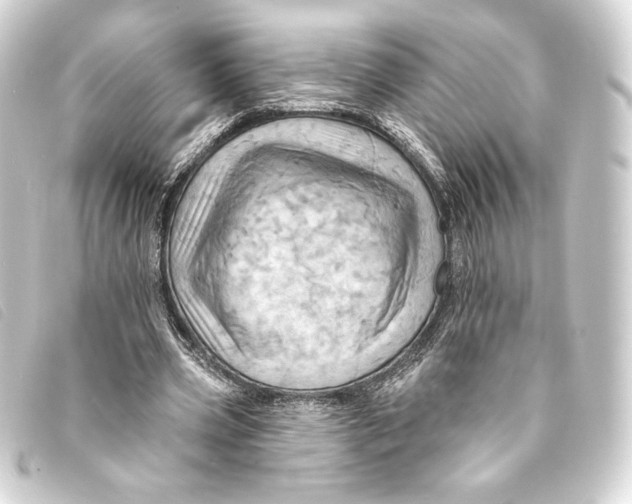 X0000093220533200710241218