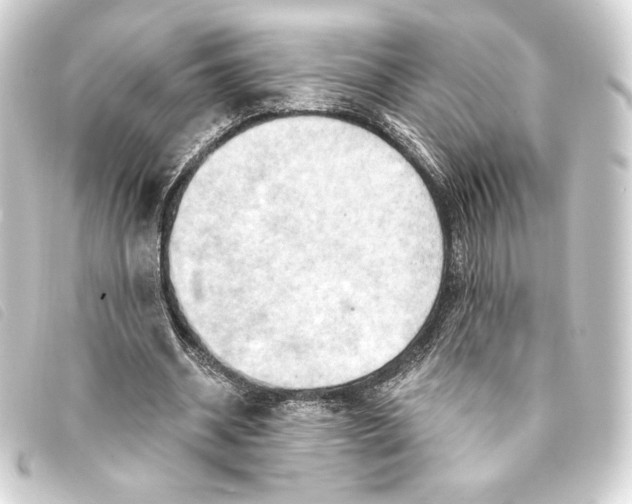 X0000093220534200710241218