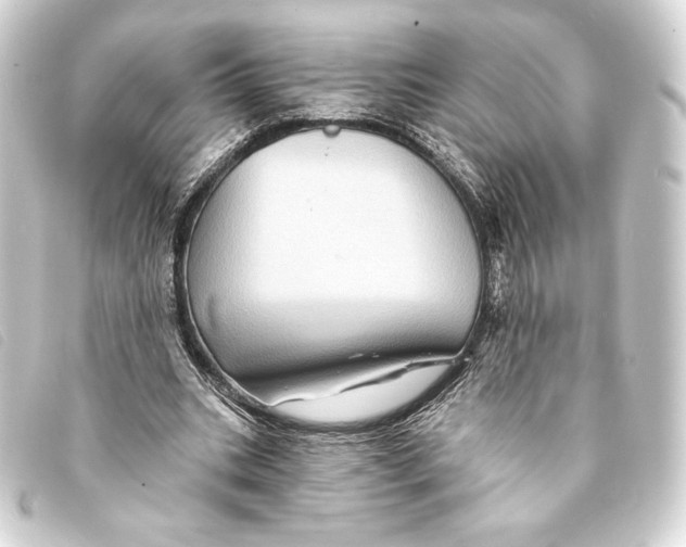 X0000093220535200710241218