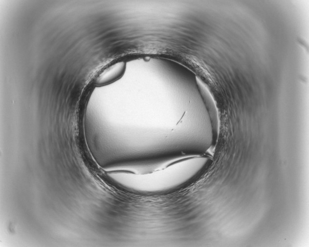 X0000093220536200710241218