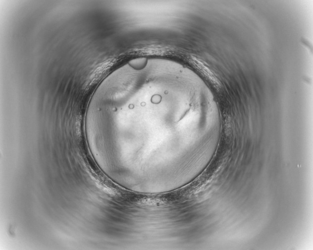 X0000093220537200710241218