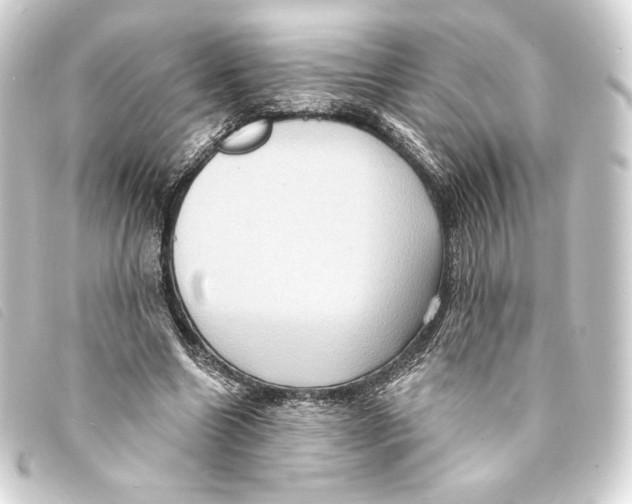 X0000093220538200710241218