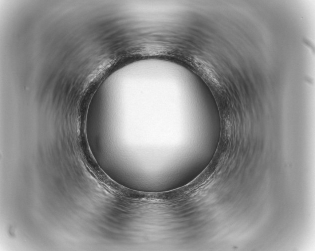 X0000093220539200710241218