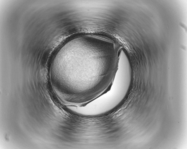 X0000093220540200710241218