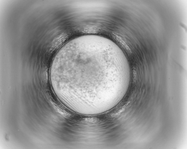 X0000093220541200710241218