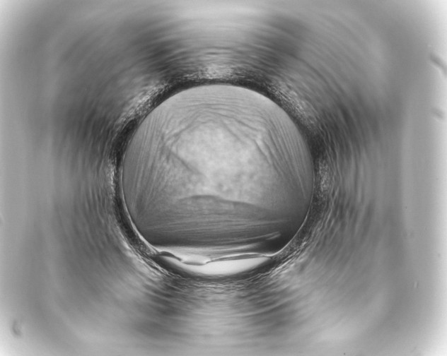 X0000093220542200710241218