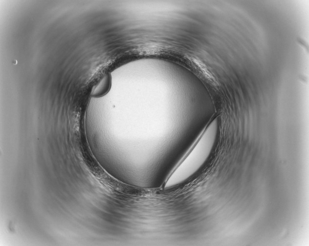 X0000093220543200710241218