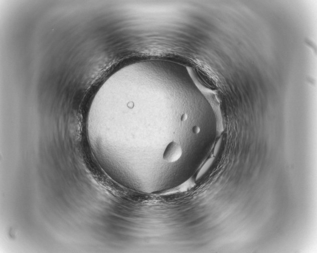 X0000093220544200710241218