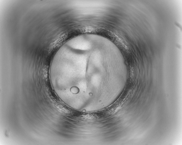 X0000093220545200710241218