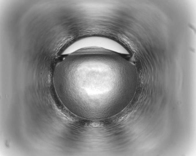 X0000093220546200710241218