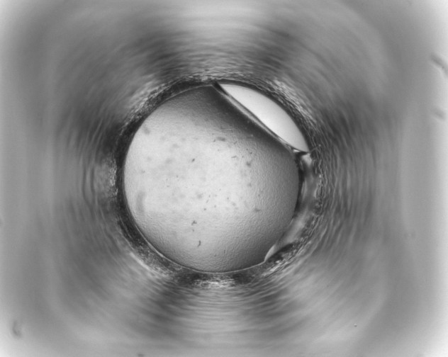 X0000093220548200710241218