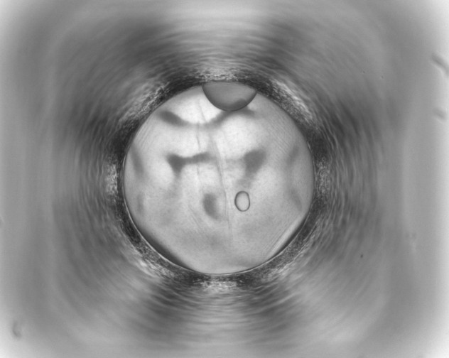 X0000093220549200710241218