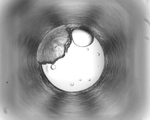 X0000093220550200710241218