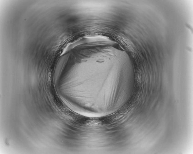 X0000093220551200710241218