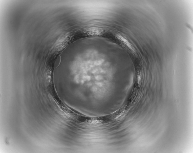 X0000093220553200710241218