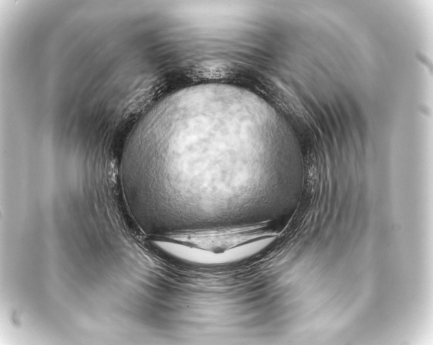 X0000093220555200710241218