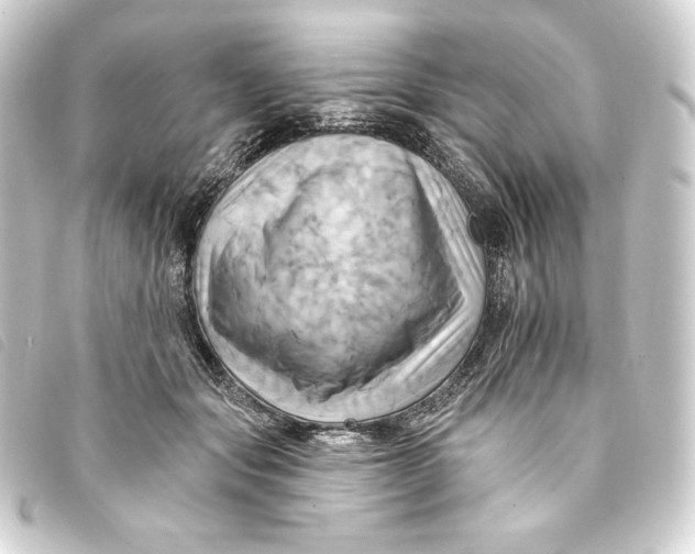 X0000093220557200710241218