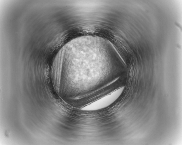 X0000093220559200710241218